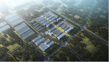 必赢·网络游戏平台-(中国游)有限公司