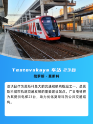 必赢·网络游戏平台-(中国游)有限公司