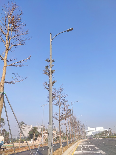 必赢·网络游戏平台-(中国游)有限公司